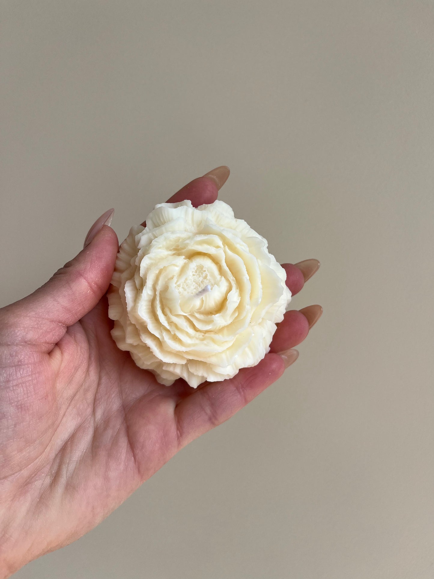 Pivoine - Figue de Solliès - Better than flowers 💐