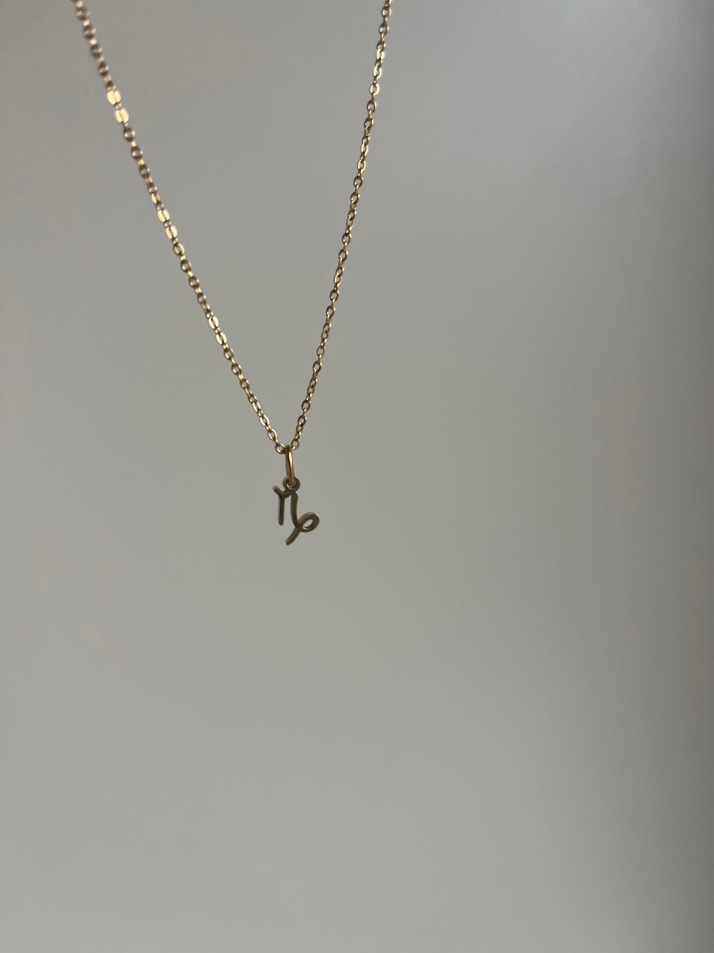 Collier Signe Astro – Capricorne