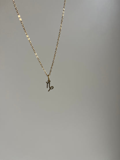 Collier Signe Astro – Capricorne
