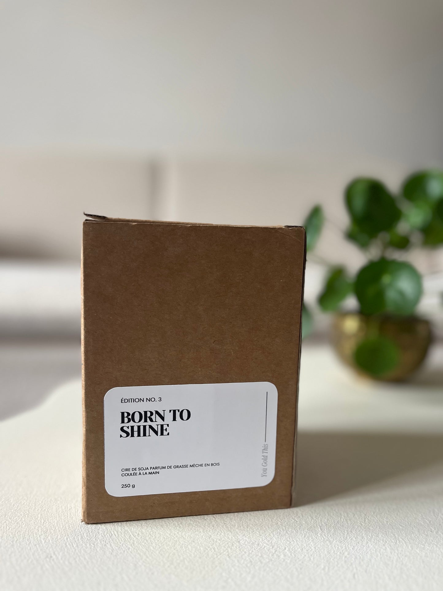 Bougie parfumée - Born To be Wild