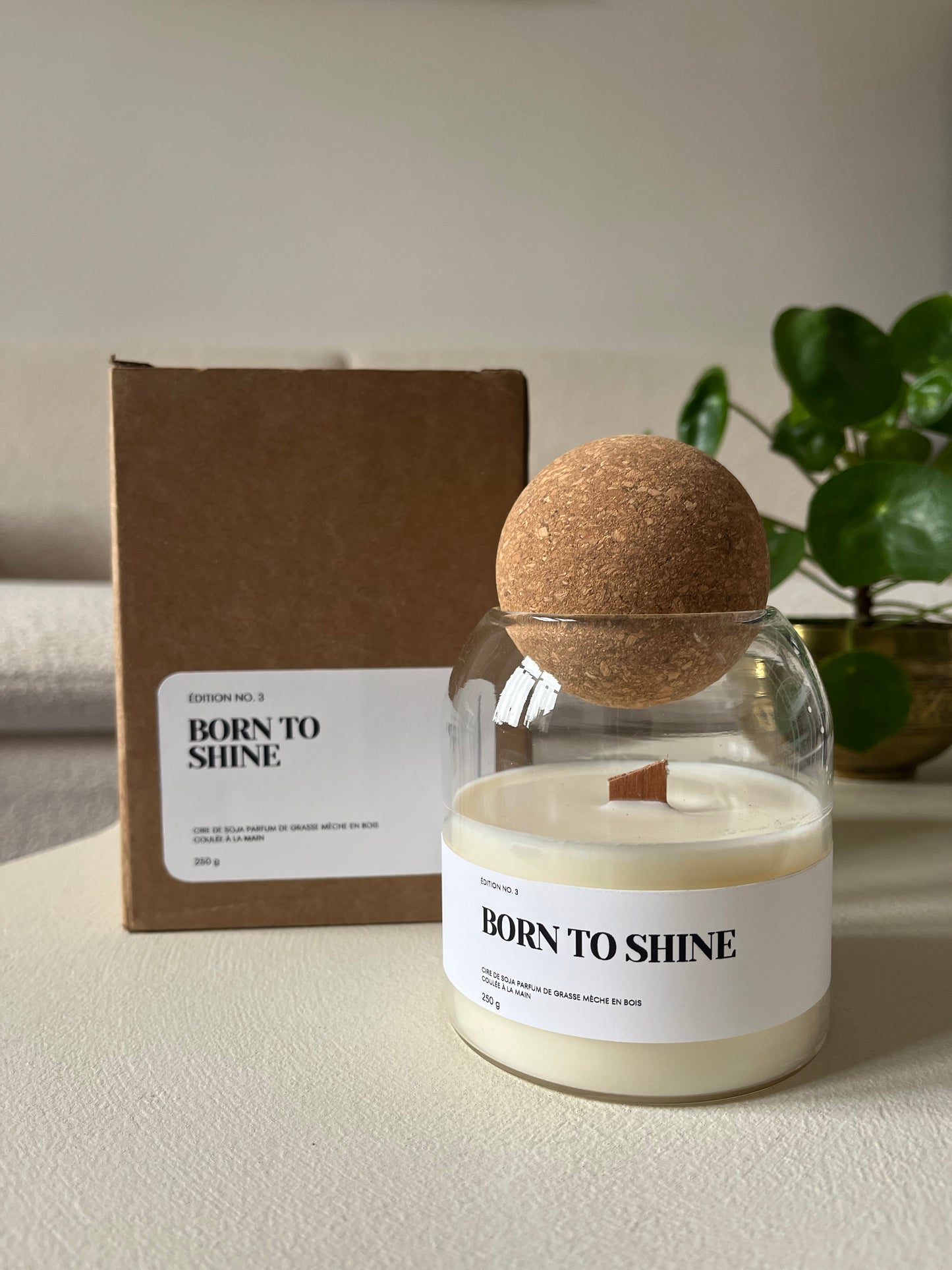 Bougie parfumée - Born To be Wild