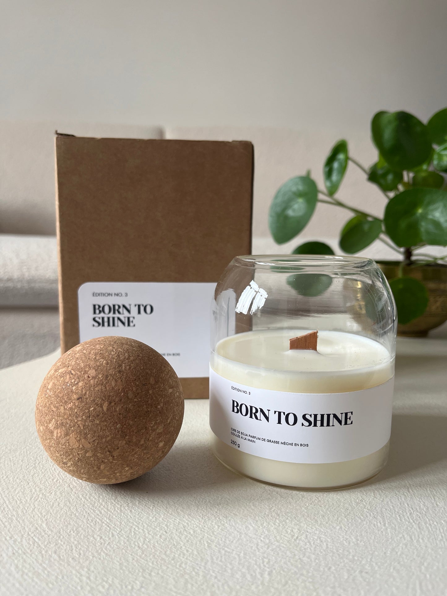 Bougie parfumée - Born To be Wild