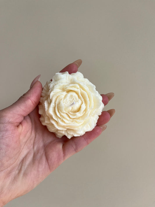 Pivoine - Figue de Solliès - Better than flowers 💐