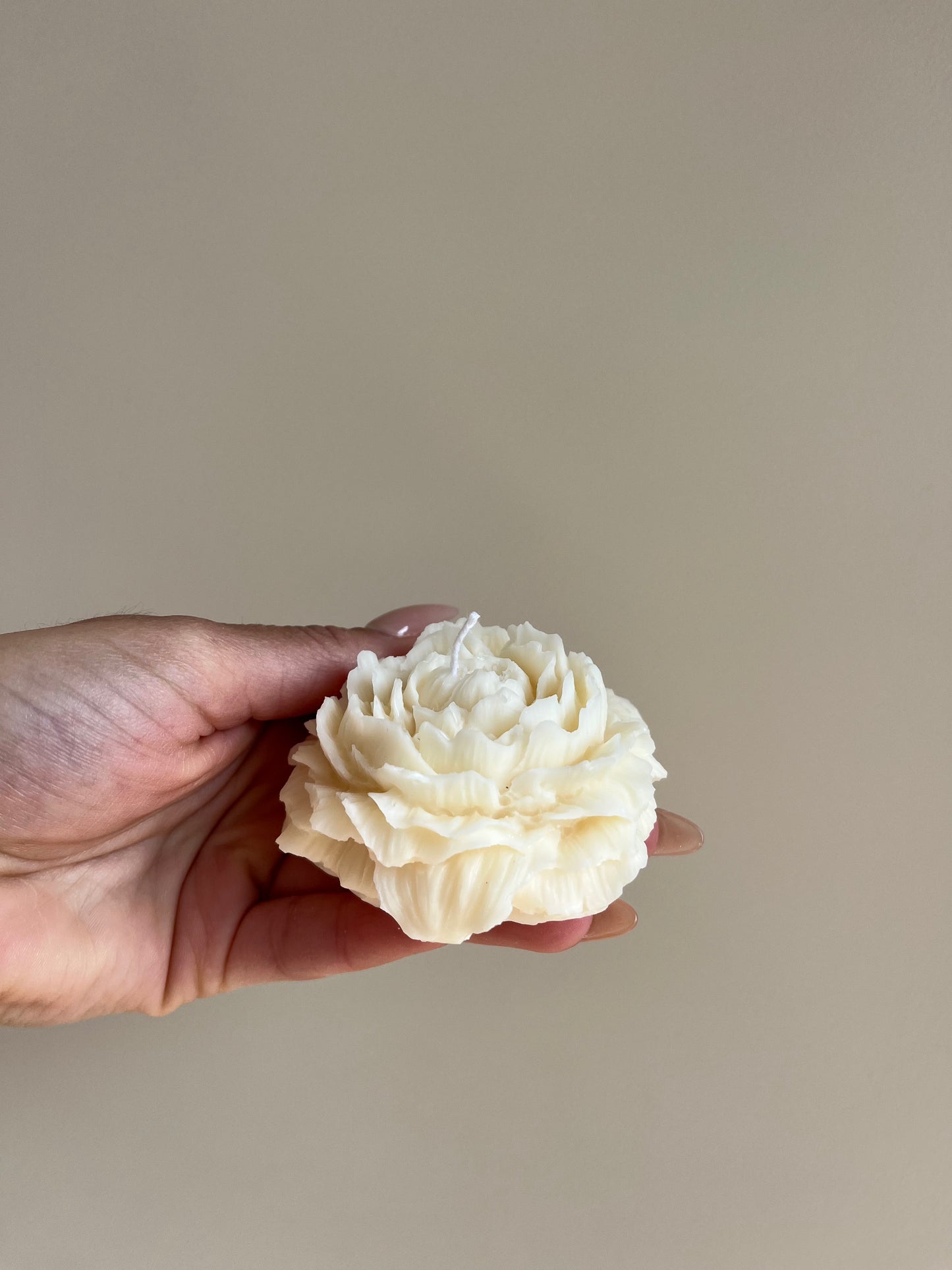 Pivoine - Patchouli - Better than flowers 💐