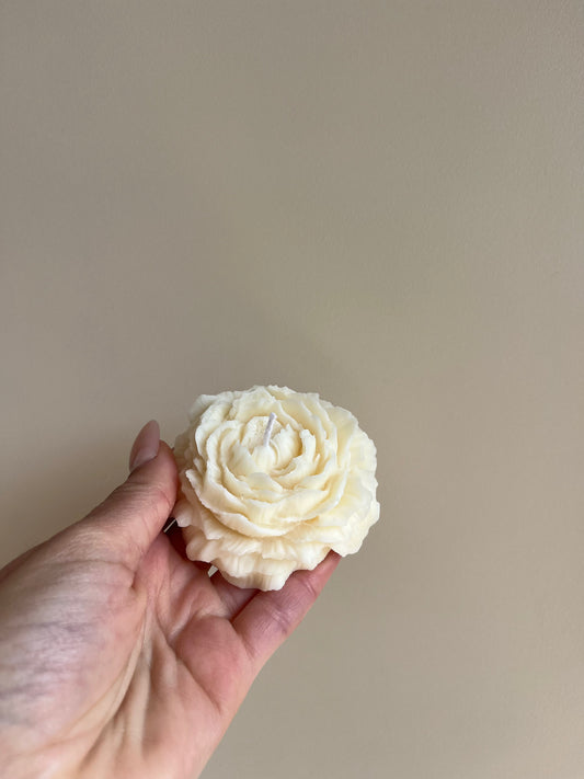 Pivoine - Patchouli - Better than flowers 💐